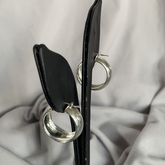 JTV Hoop Earrings - Picture 3 of 9